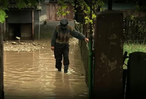 COD GALBEN DE INUNDAŢII în judeţul Galaţi