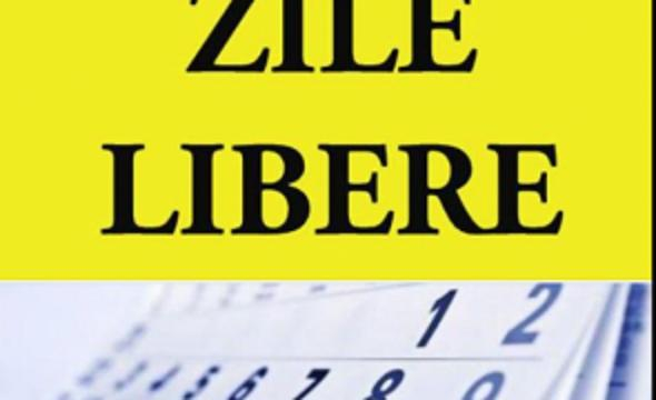 Muncă în weekend, contra cost. PROIECT