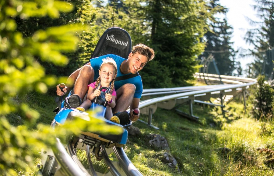 Încep lucrările la pistele de bob suspendat din Pădurea Gârboavele. Adrenalină în Parcul de Aventură