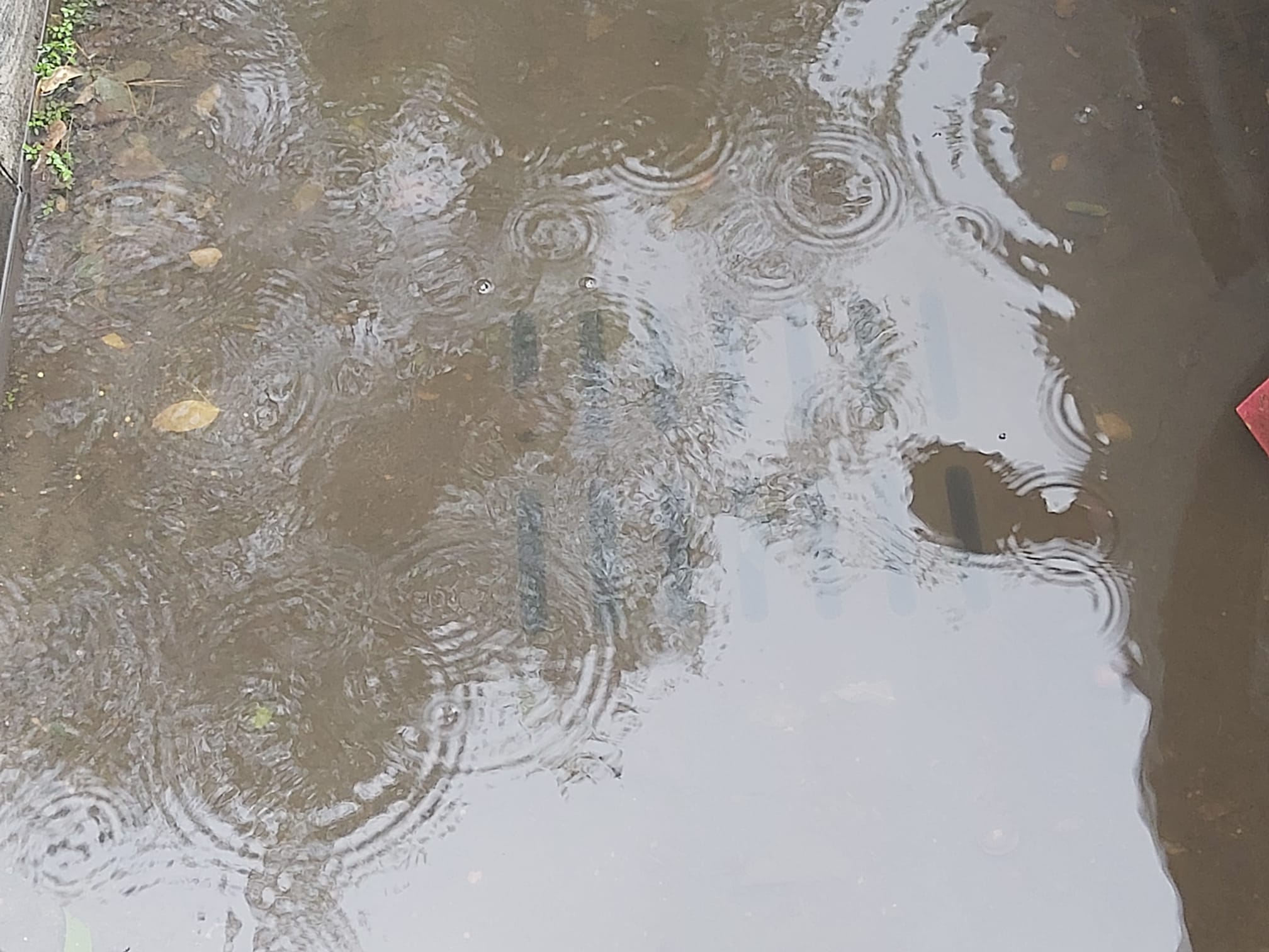 Cod galben de ploi şi vânt puternic în jumătate de ţară, inclusiv la Galaţi