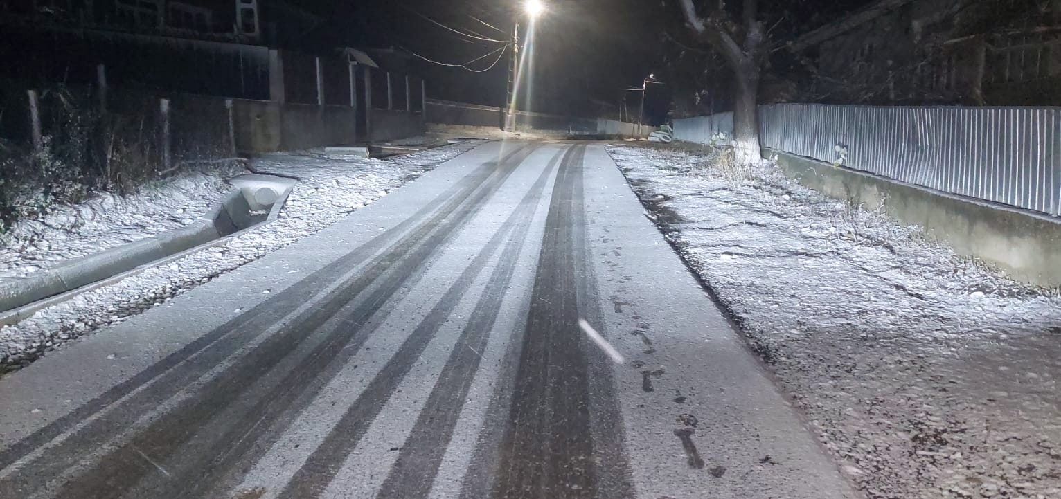 A nins în nordul județului