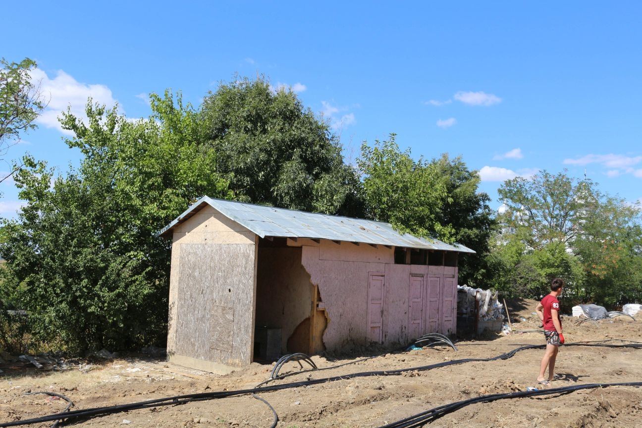 59 de unităţi de învăţământ neautorizate sanitar