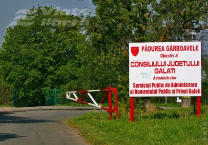 Hai la Gârboavele, să te tâlhărim!