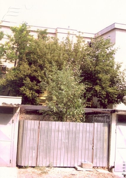 Garajele de murături, teasc şi şpriţuri