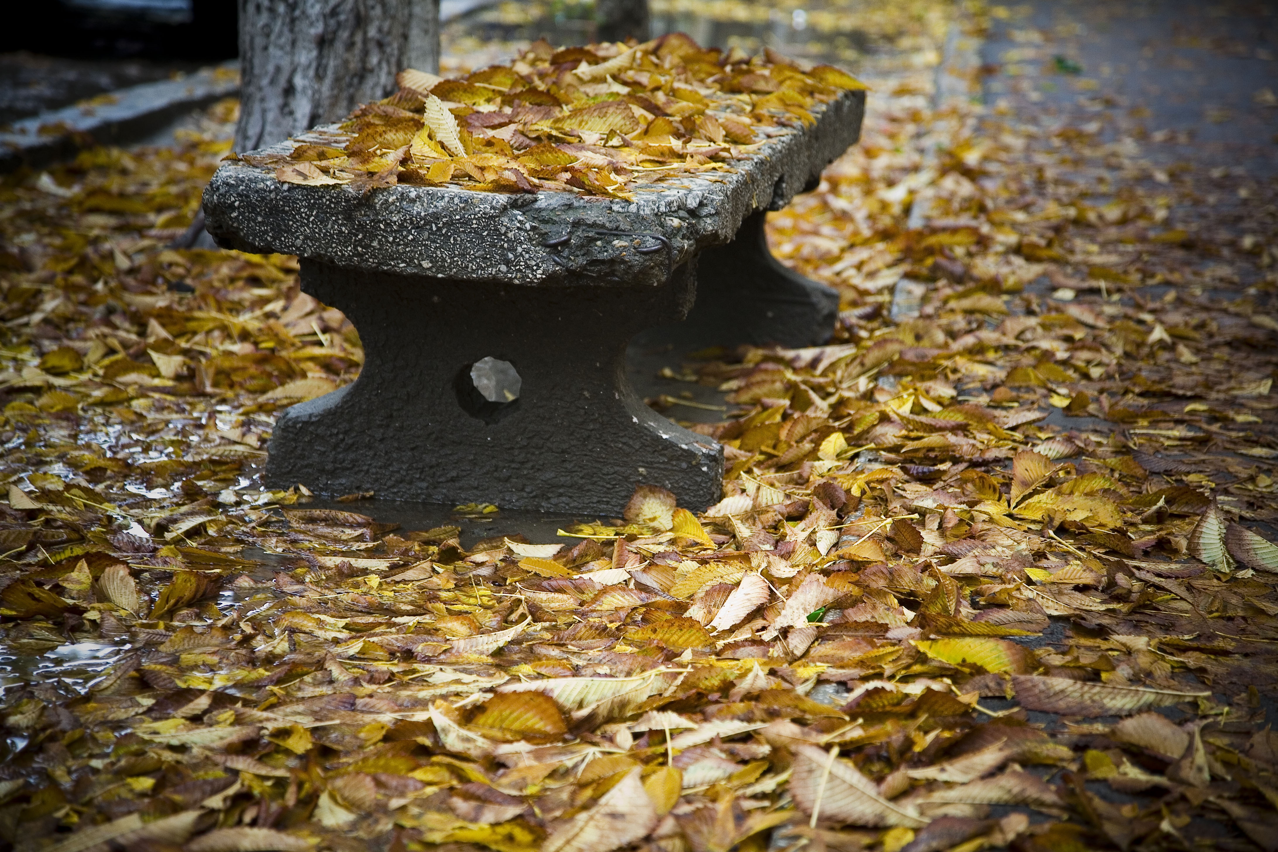 Legendele toamnei gălăţene