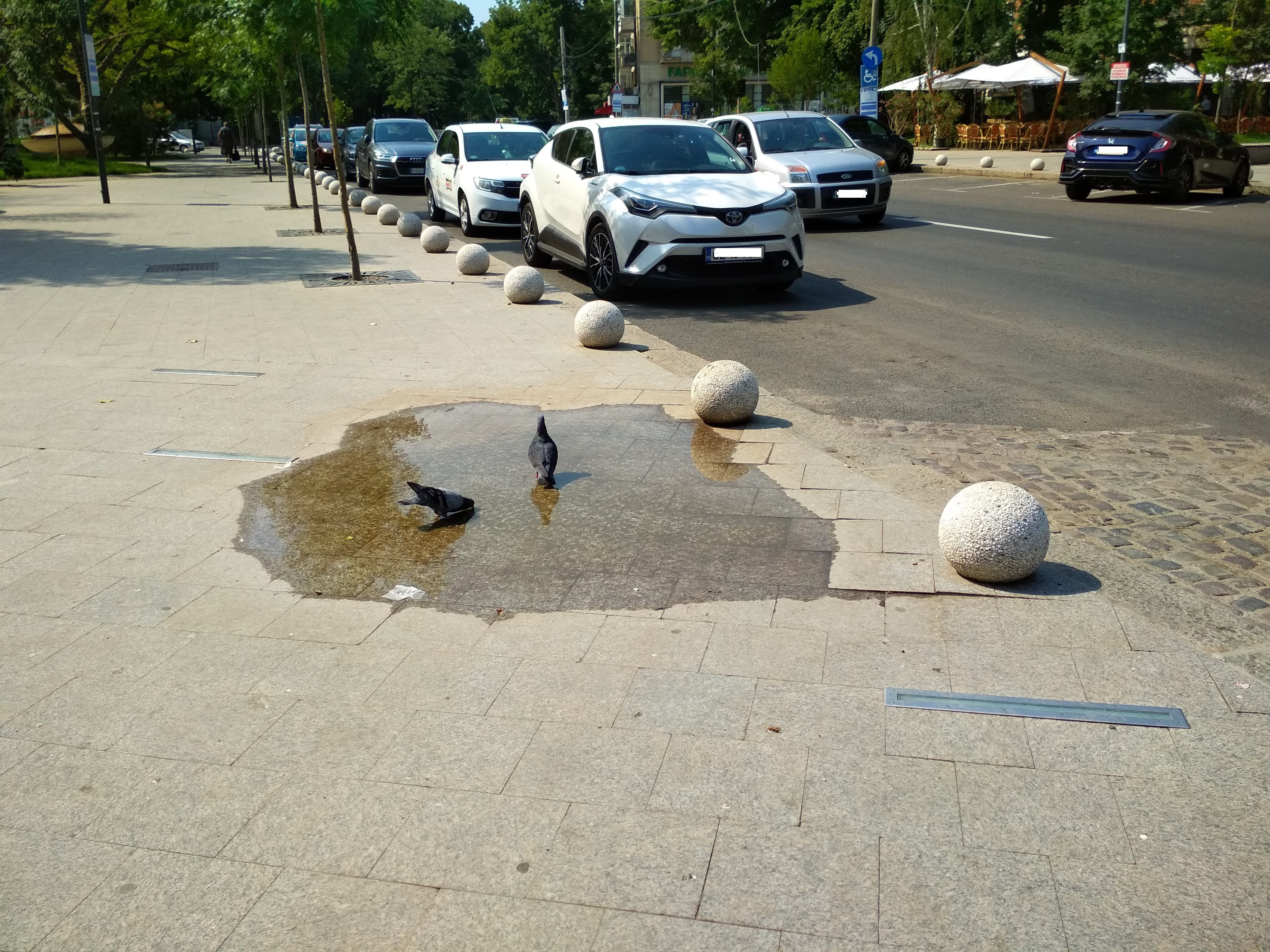 Pentru ce cumpără Primăria Galați 200 de bolarzi