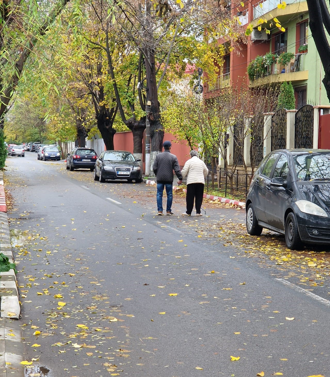 Poza zilei. La bine şi la greu, împreună mereu