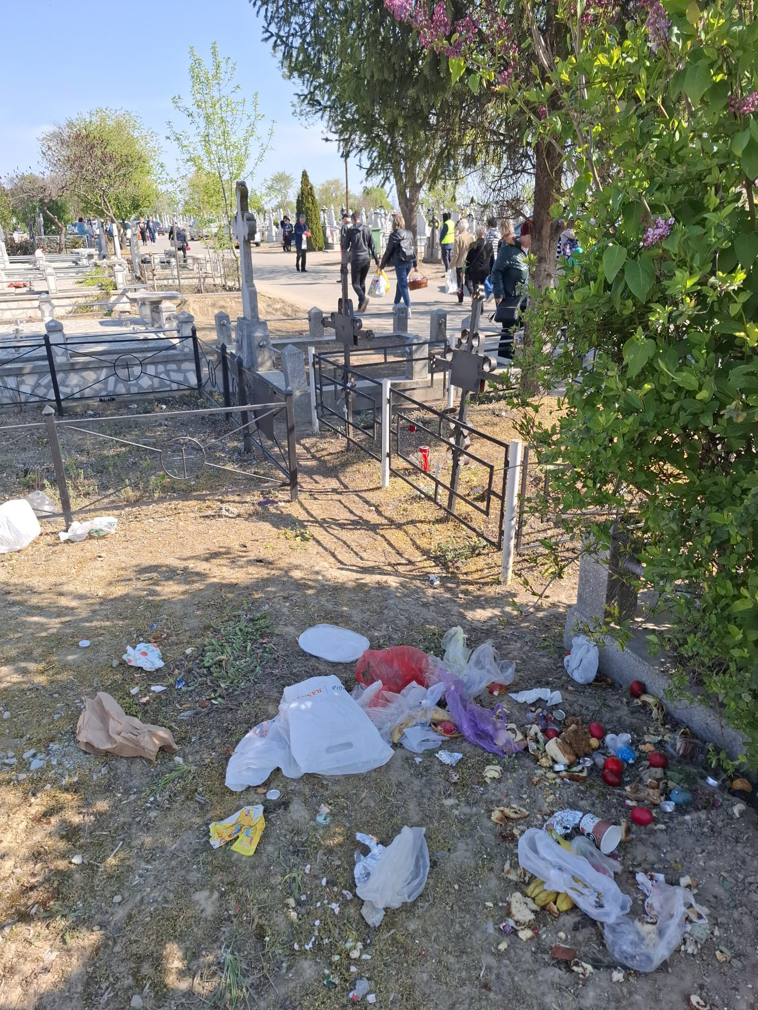 Poza zilei. Unde ajunge pomana pe care o dăm la cimitir