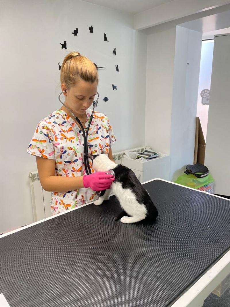 Ce rol au glandele perianale şi cum trebuie îngrijite