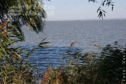 Concesionarea unui dezastru