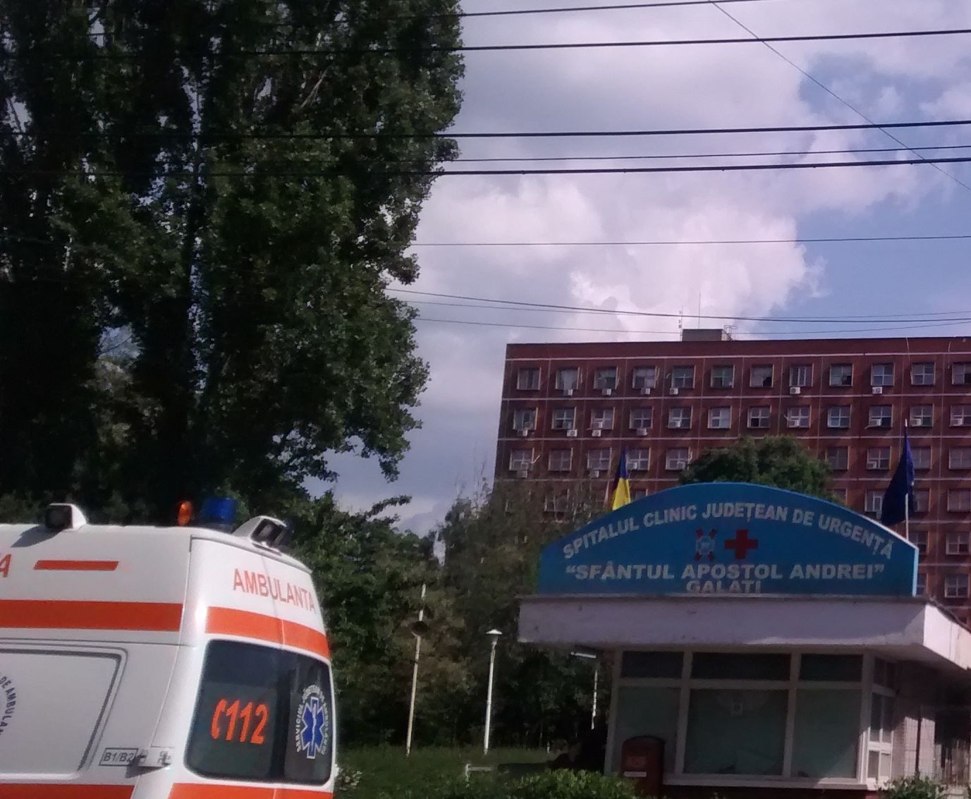 Peste 400 de persoane muşcate de CĂPUȘE, de la începutul sezonului