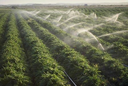 Preţul energiei electrice pentru irigaţii va scădea anul viitor cu până la 30 la sută