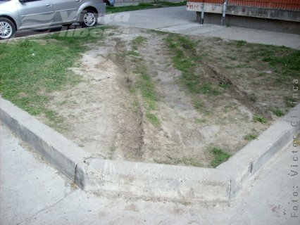 Despre verde, numai de bine…