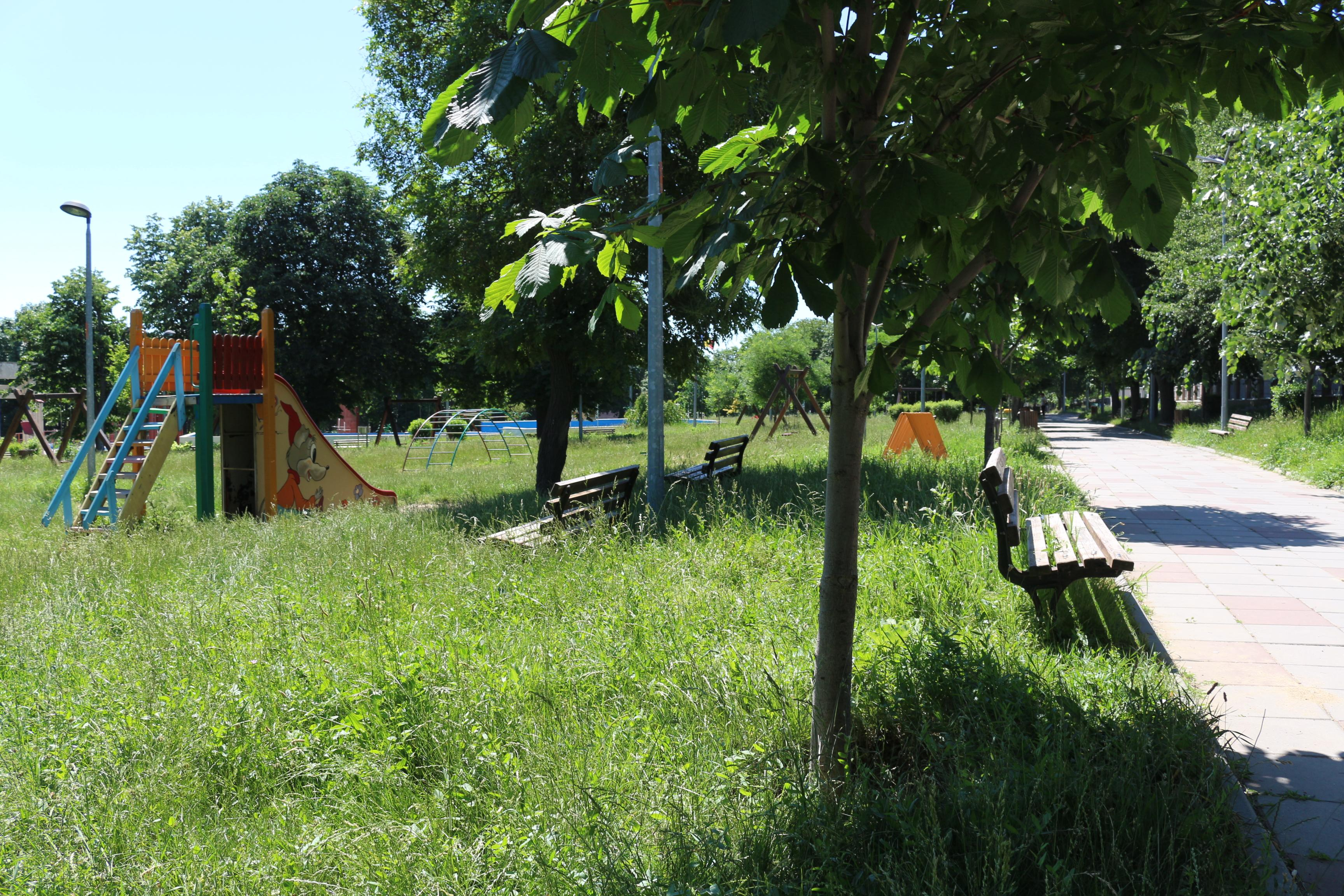 Vremea, autorităţile şi lenea, vinovate pentru jungla urbană