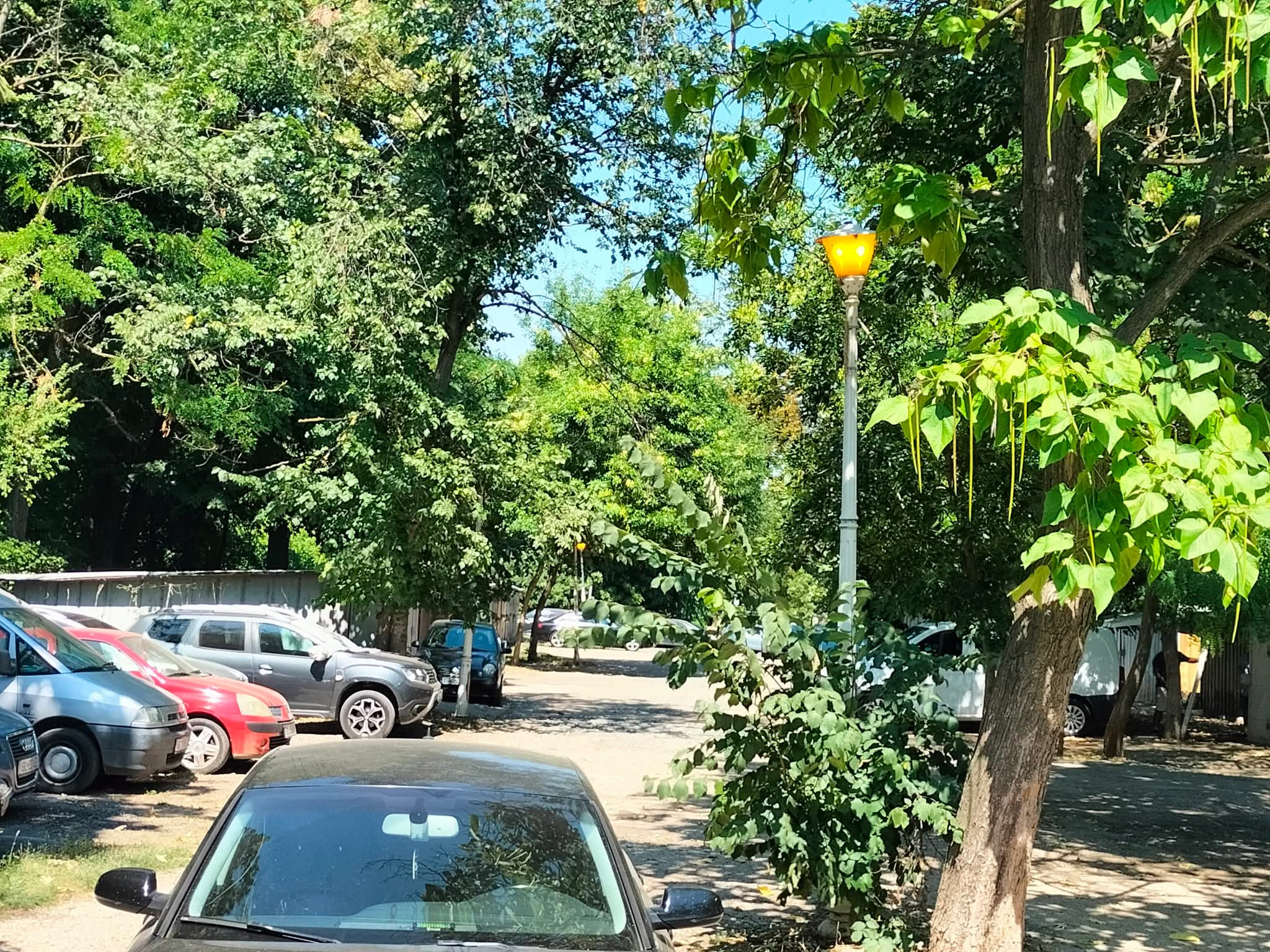 Cine şi de ce lasă luminile aprinse în miezul zilei