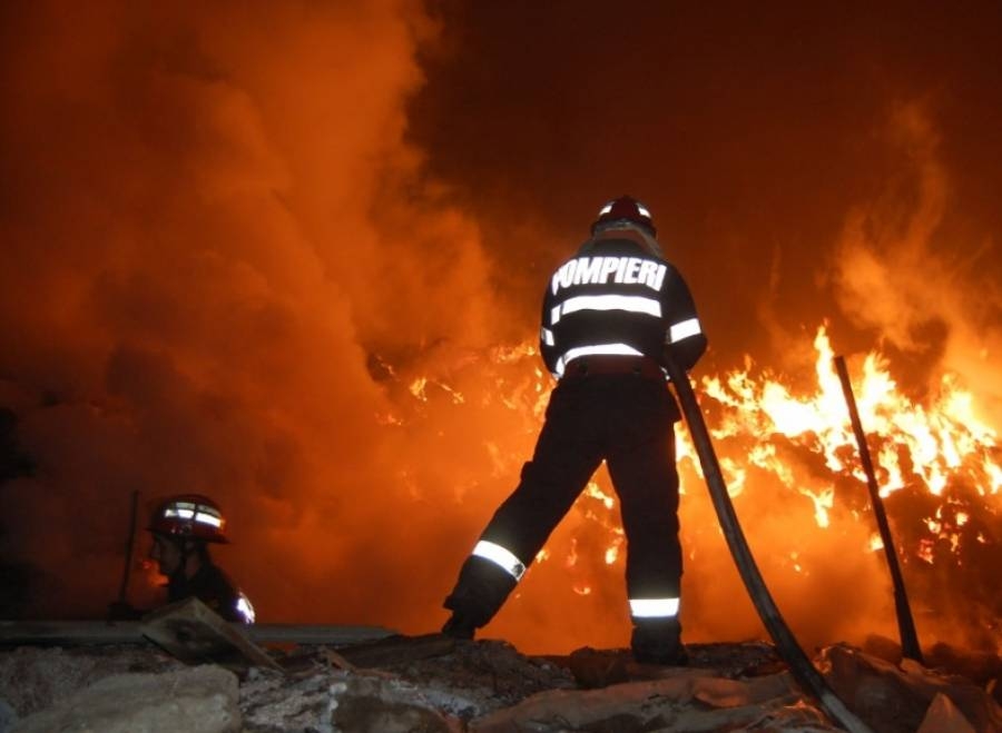 O mână criminală a făcut ravagii într-o gospodărie din judeţul Galaţi