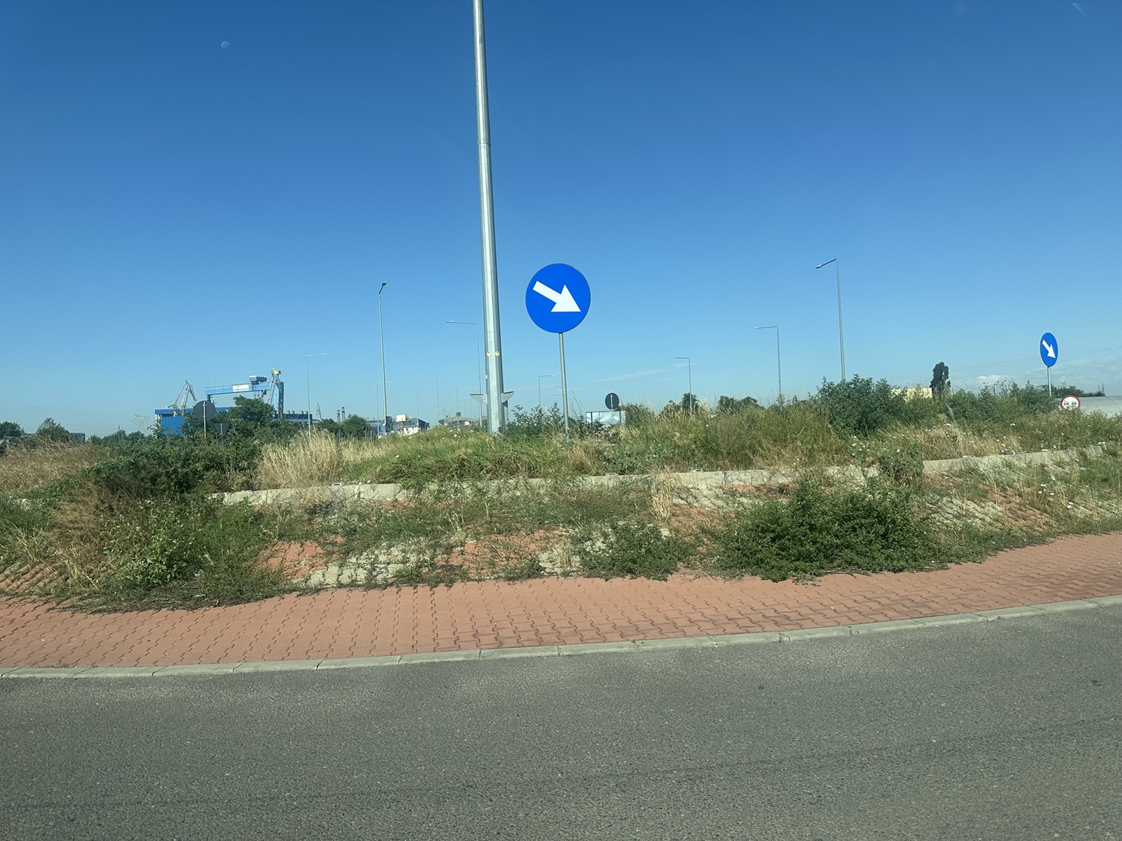 Poza zilei. Giratoriul cu boscheți