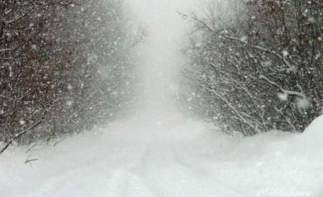Vineri şi sâmbătă: Ninsori viscolite la munte