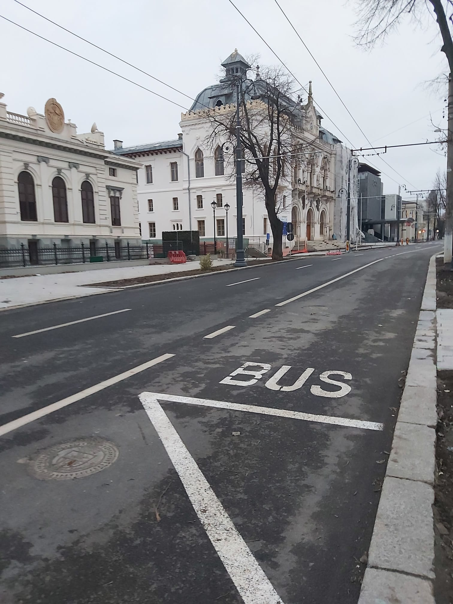 Poza zilei. Când pisica nu-i acasă...