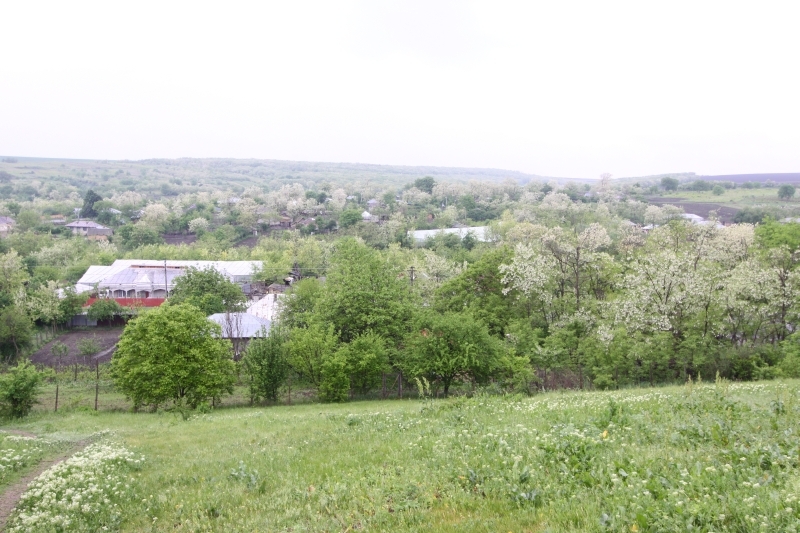 Vezi care este cea mai verde localitate din judeţul Galaţi