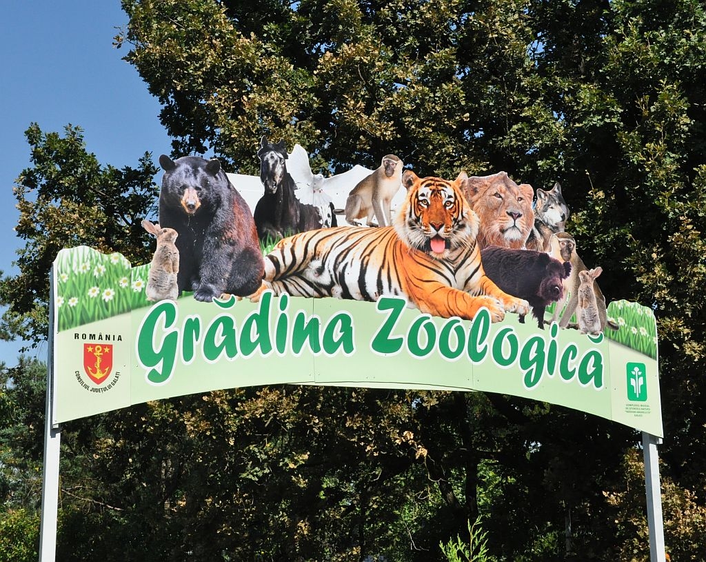 INTRARE GRATUITĂ, marți, la Grădina Zoologică! IATĂ în ce interval orar o puteţi vizita