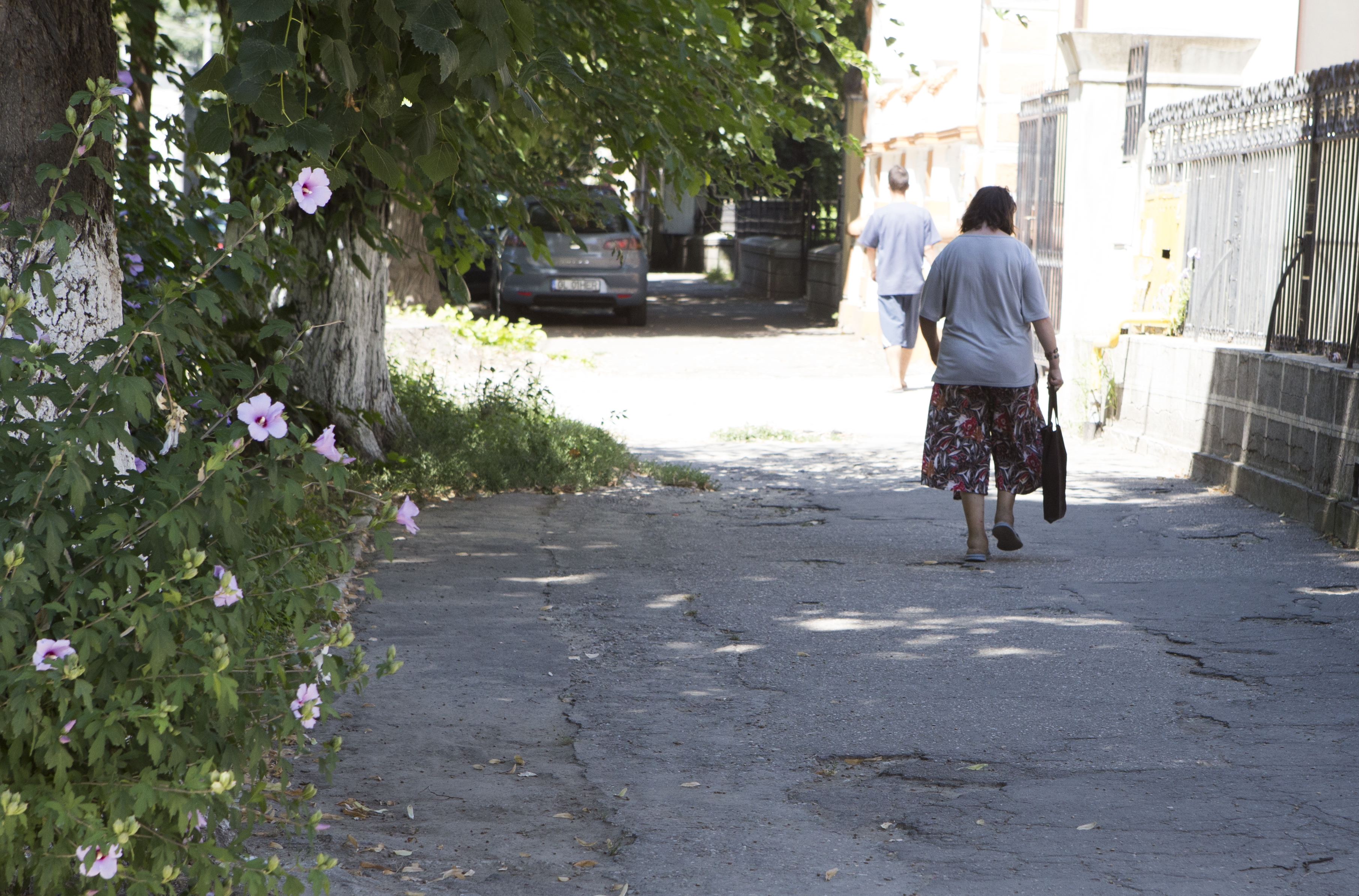 Artă şi istorie, lăsate în paragină: Strigăte disperate de ajutor în centrul Galaţiului (FOTO)