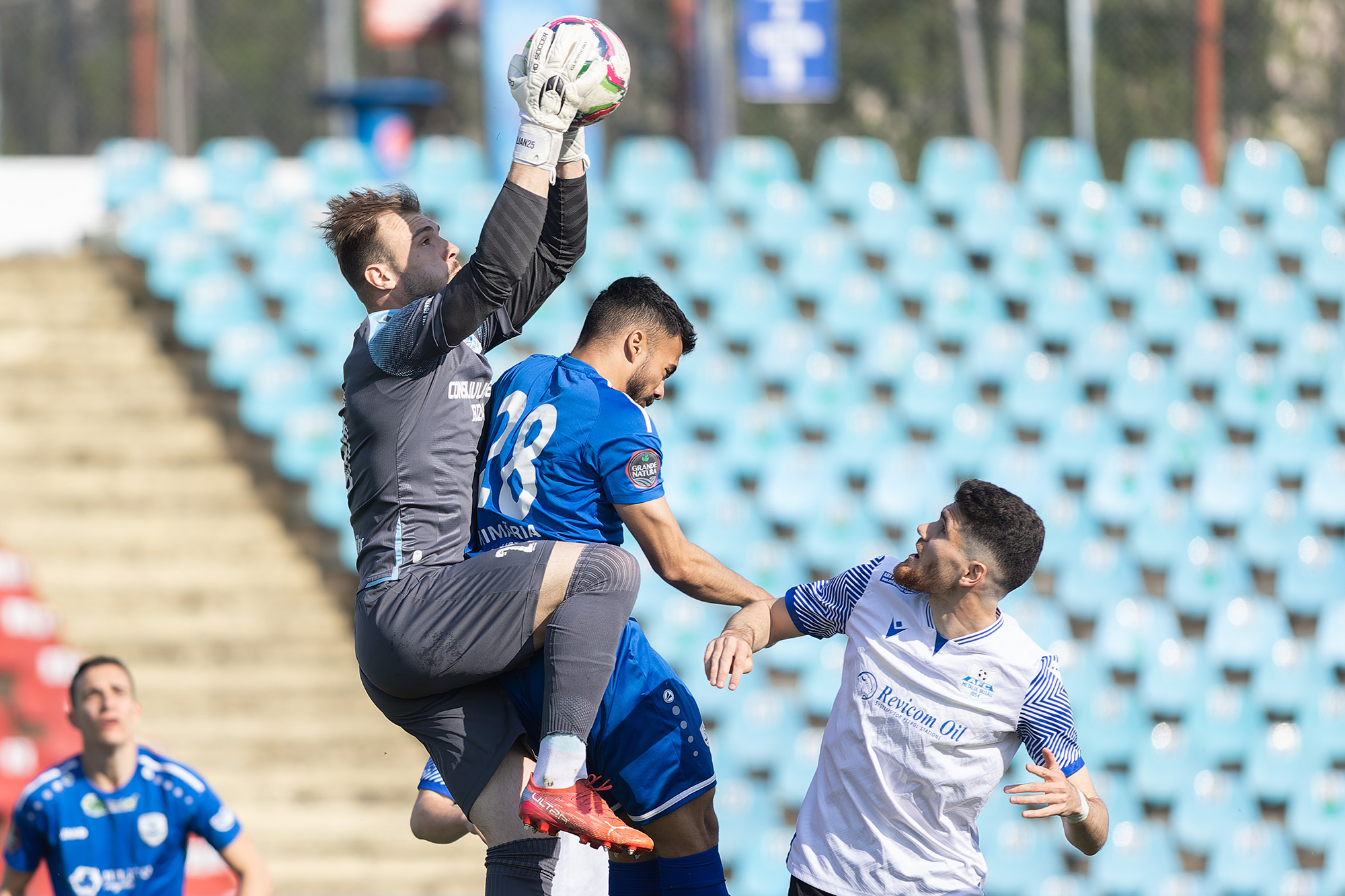 Braniștea, succes fără efect