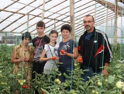 Raiul familiei Lupoaie. Drumul complet al roşiilor cu suflet