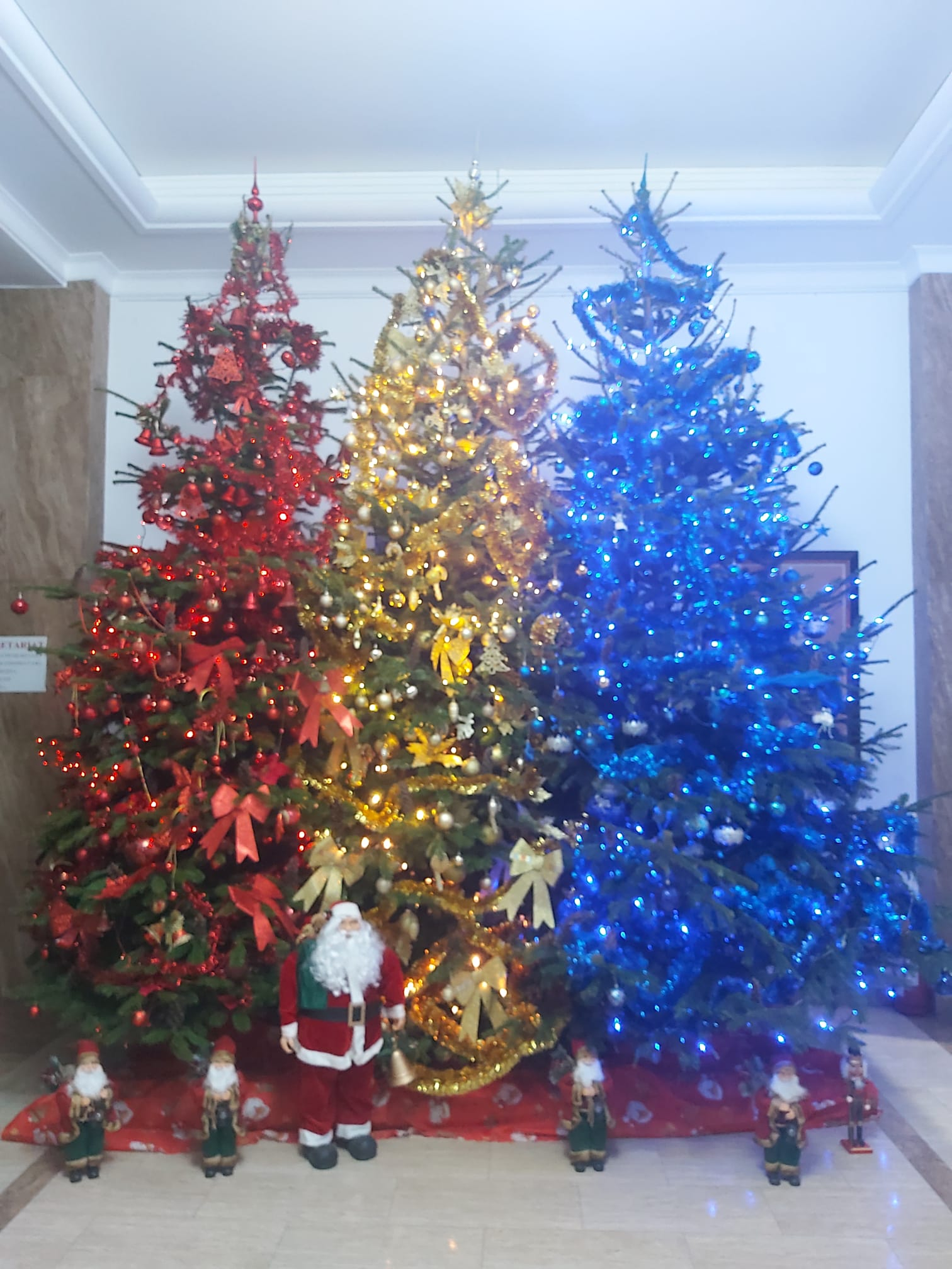 Copiii, cei mai vajnici păstrători ai tradiţiilor. Peste 600 de colindători au trecut pragul redacţiei „Viaţa liberă”