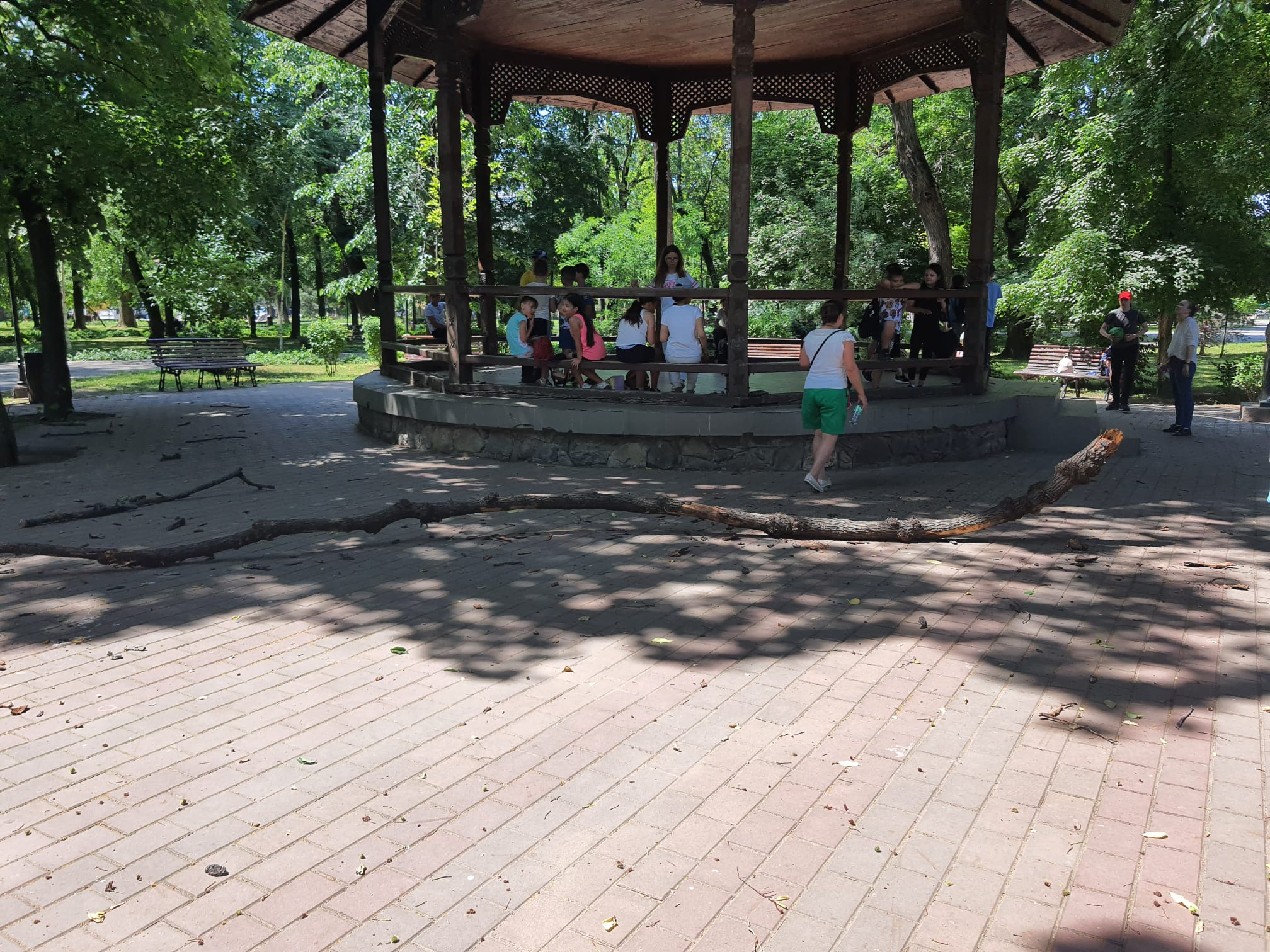 Poza zilei. Crengi căzătoare în Grădina Publică