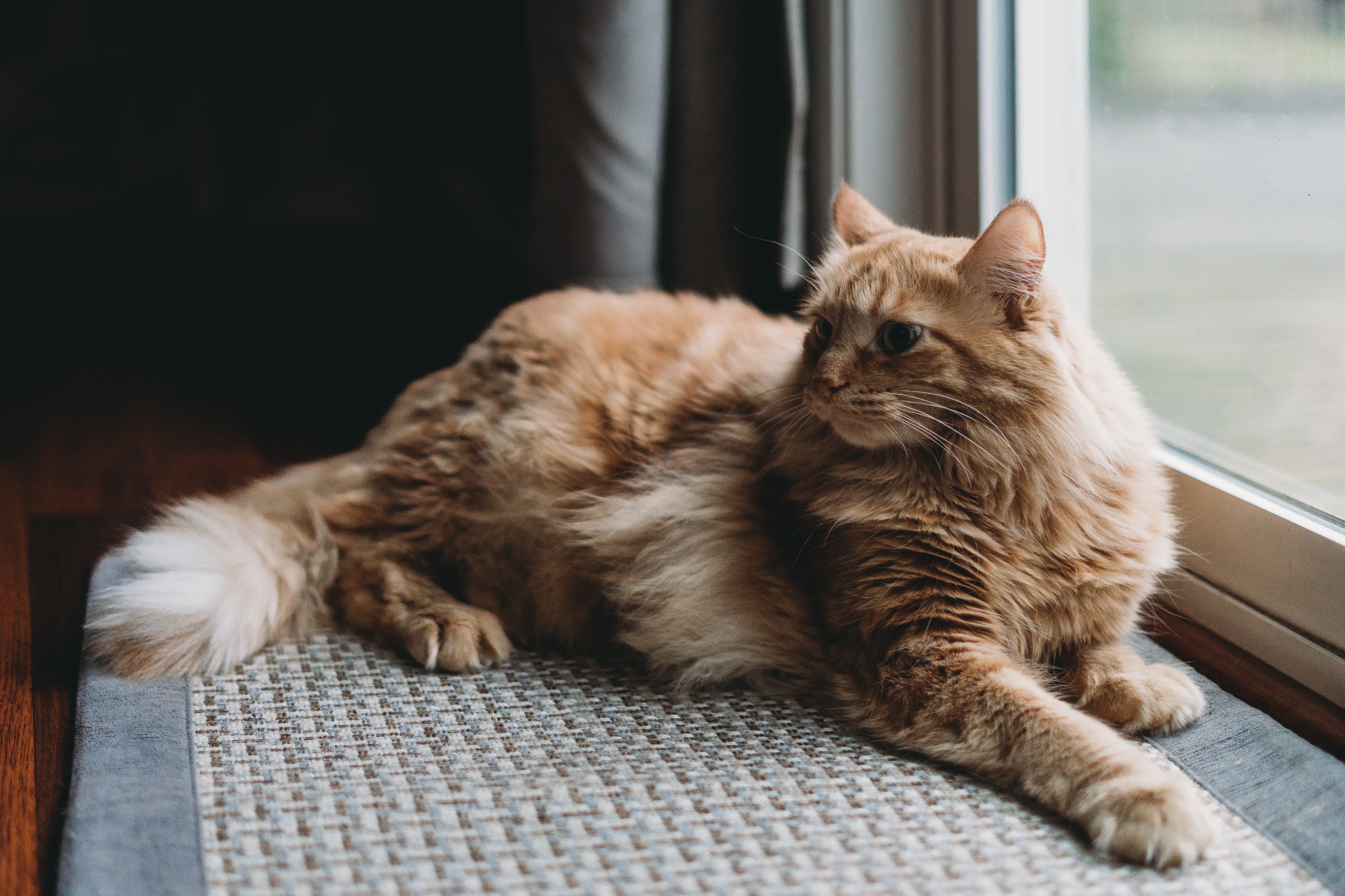 Se schimbă anotimpul, începe năpârlirea!