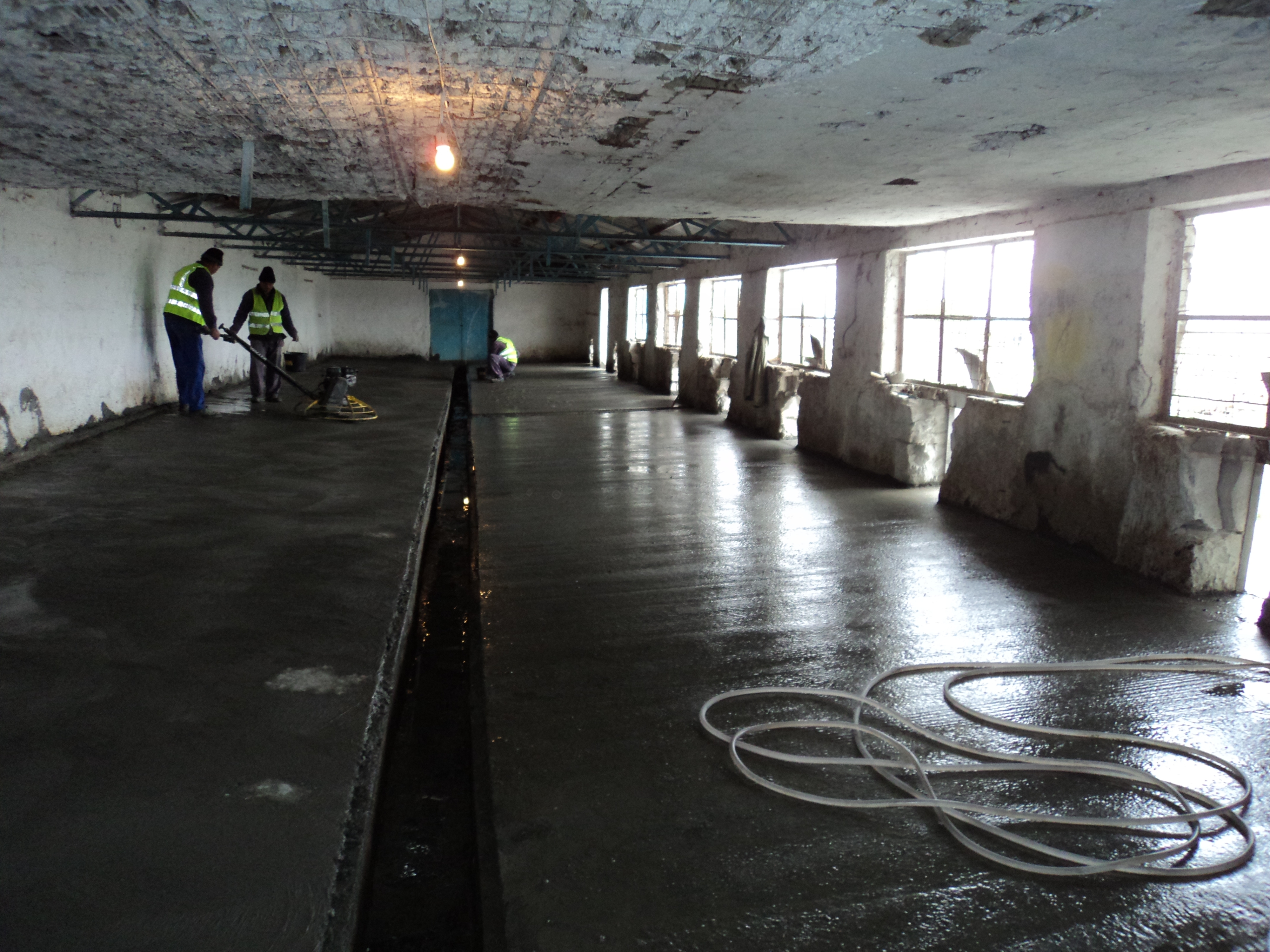 Pentru a împiedica luptele: Cuşti noi pentru câinii de pe Zimbrului