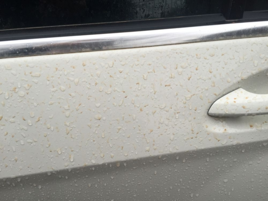 Nor de praf saharian în România