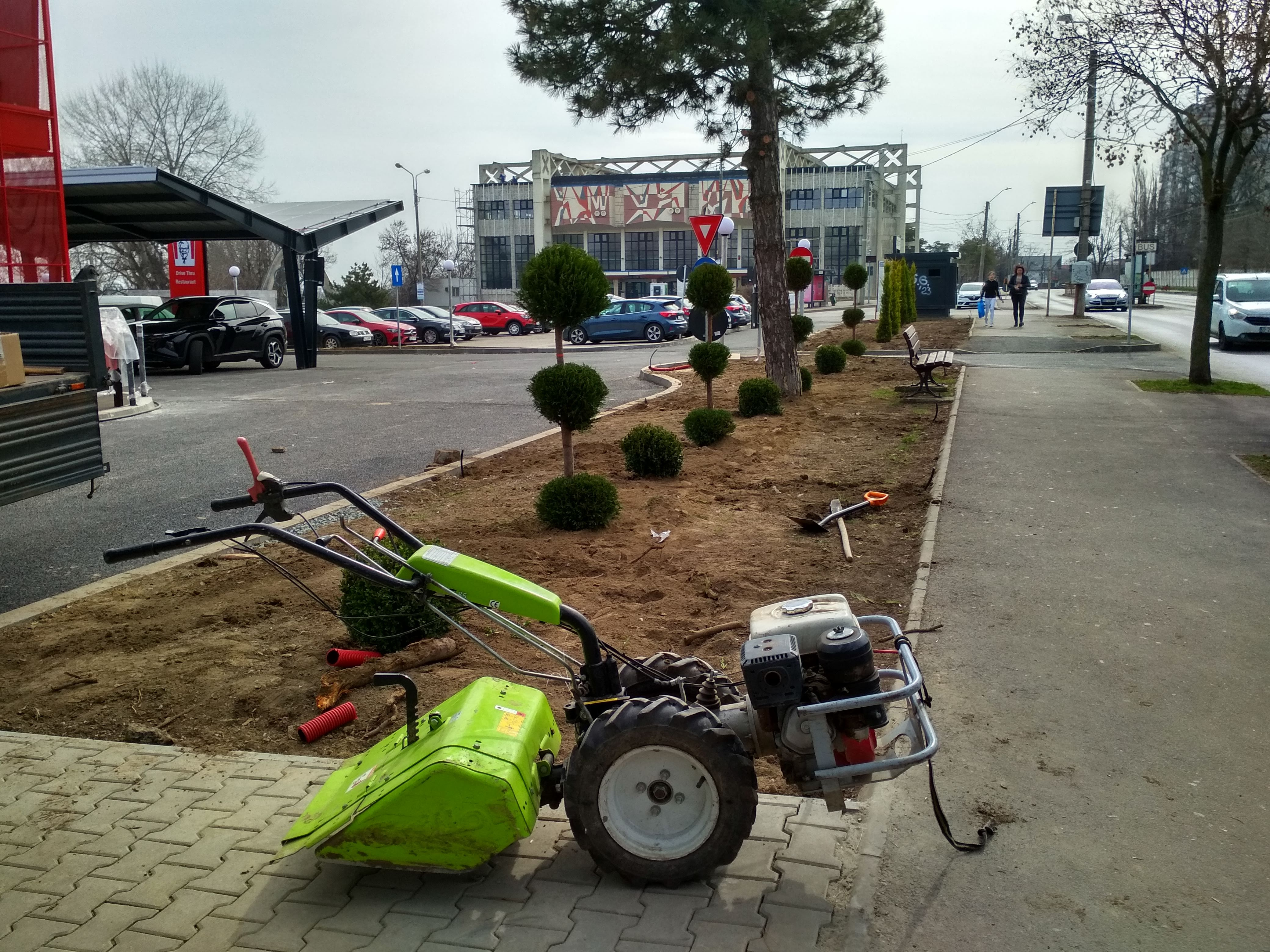 Poza zilei. Spațiu verde nou, în locul celui defrișat pe scuarul străzii Stadionului