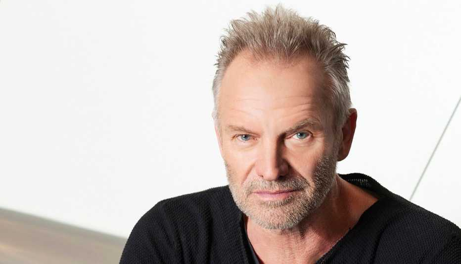 Cariere. Sting, celebru cântăreț britanic
