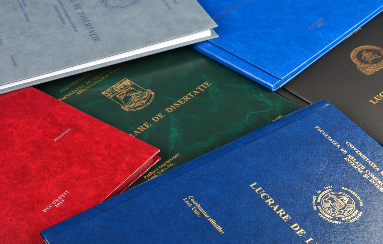 Adaptare la economia de piaţă | Industria on-line a lucrărilor de licenţă şi de doctorat