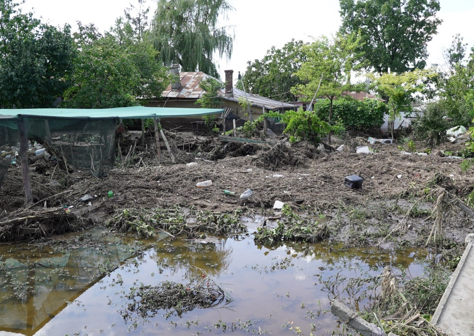 Ajutor financiar din judeţul Suceava