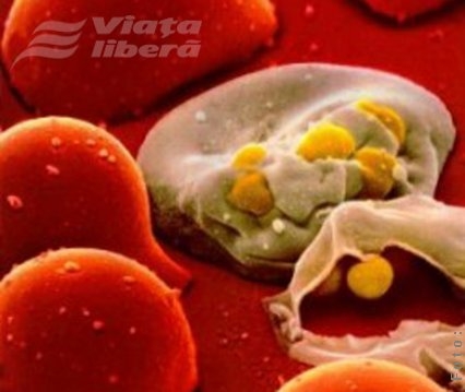 Ce şanse au tinerii seropozitivi?