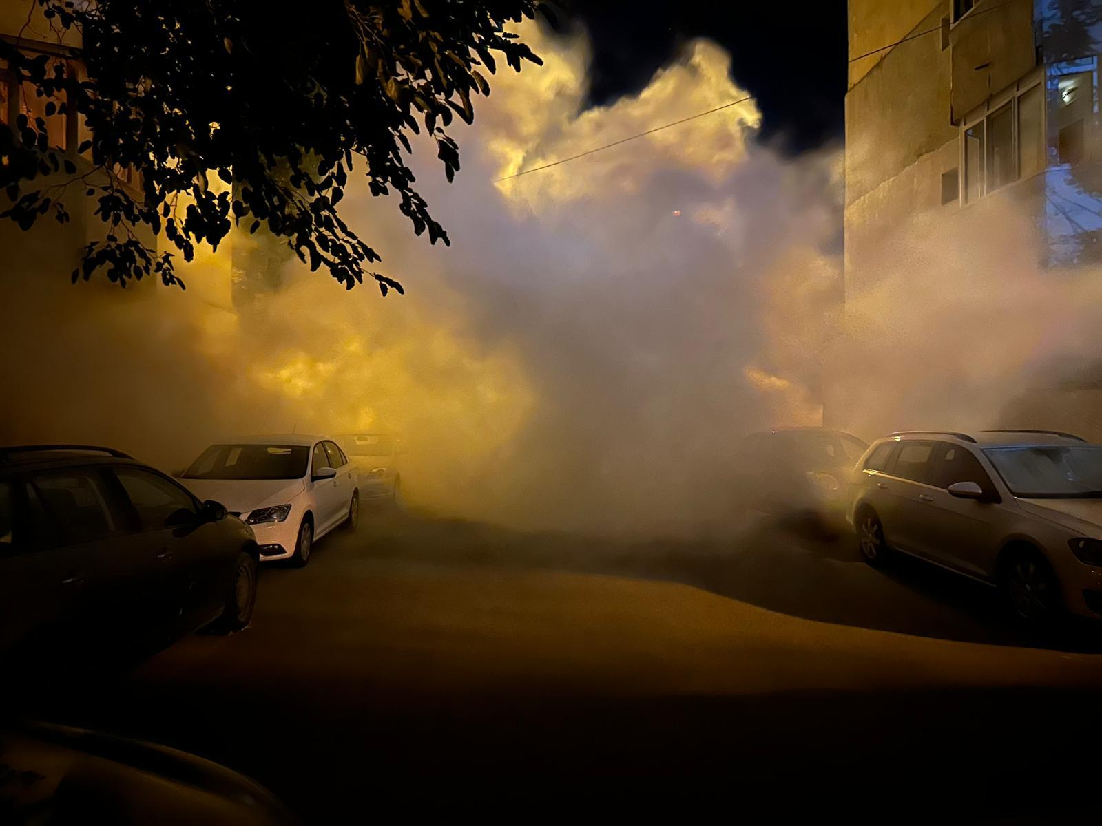 Dezinsecție la sol în municipiul Galaţi, săptămâna viitoare