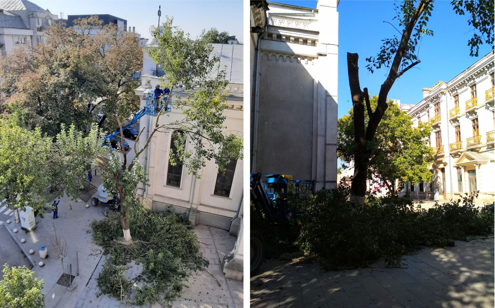 Agud sacrificat la Biserica Greacă