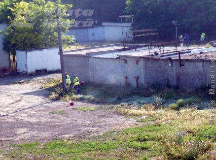 Pe timp de criză, se taie frunza   