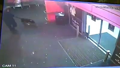 UPDATE | Ucigaşul de pisici, sancţionat de mai multe ori