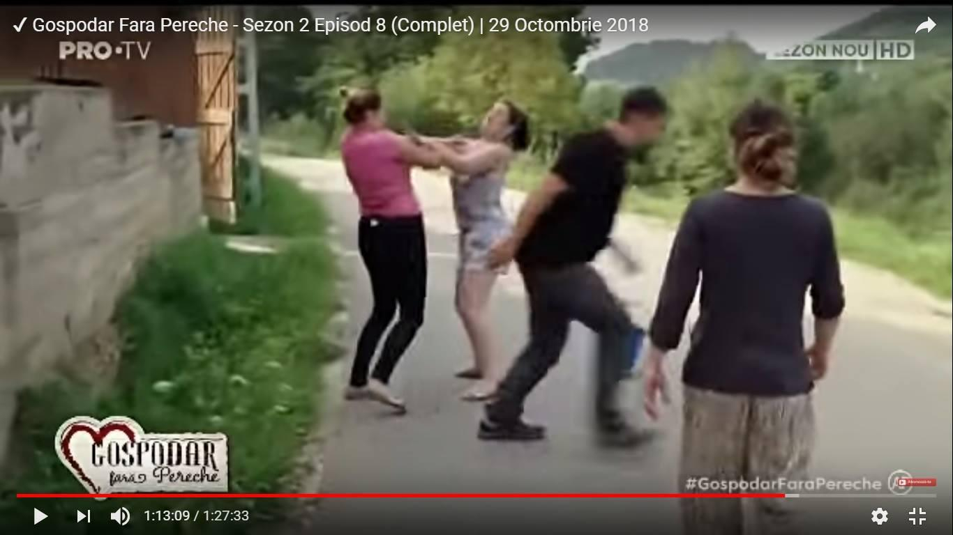 Bătaie între mâţe în călduri, la Gospodar fără pereche