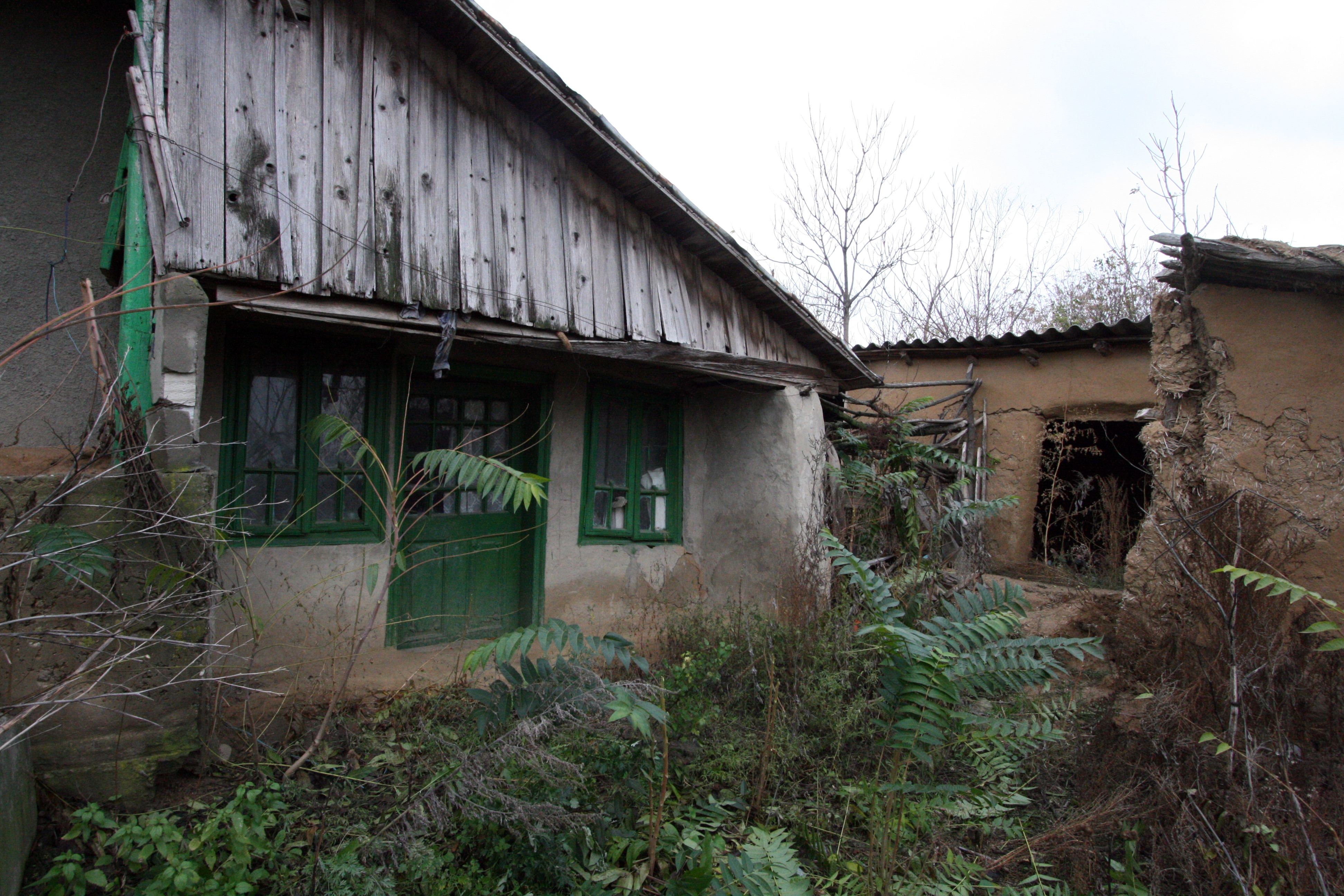 Singuri pe lume: Onciu, satul de la marginea civilizaţiei (GALERIE FOTO)