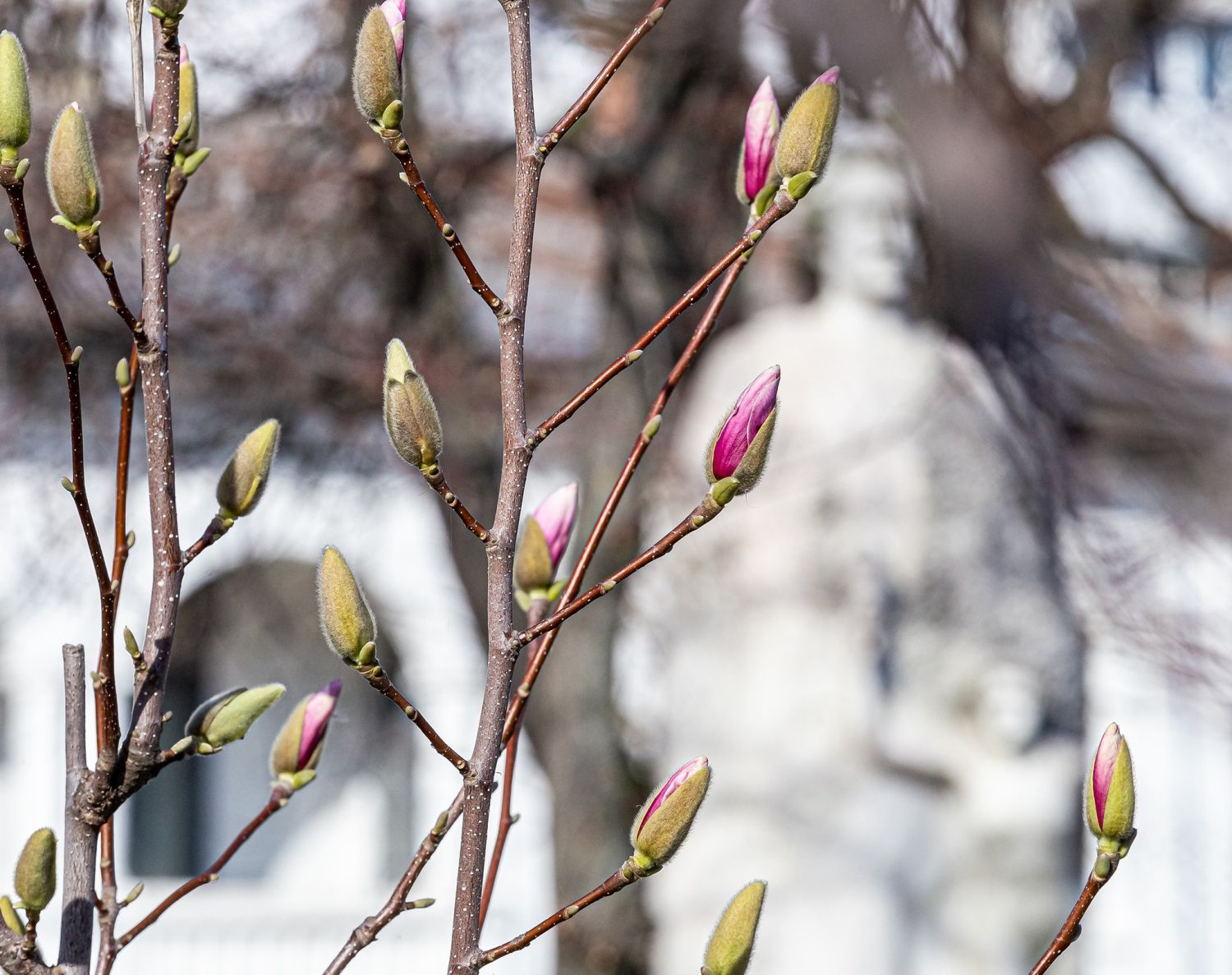 Cum va fi vremea în următoarele două săptămâni