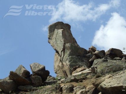 La munte, în Măcin