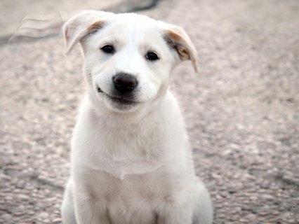 Nu-mi pune mâna pe burtă, că ţi-o rup!