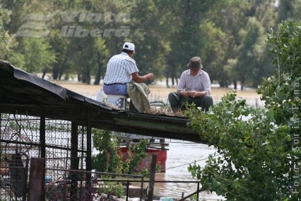 Barboşi, ape tulburate, oameni la fel  