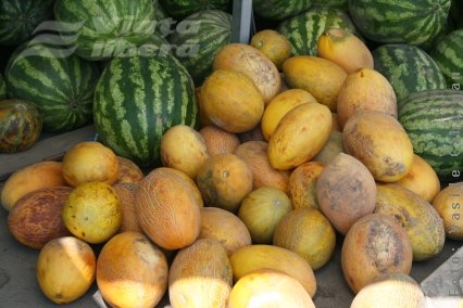 Harbuji la mâna a doua 