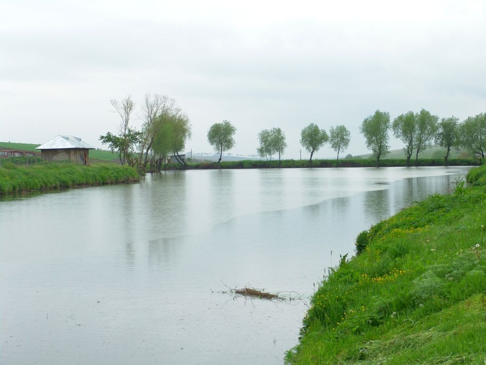 Picături de miere, salcâmi şi vălătuci de zăpadă. ”Du-te, dacă tu crezi că e mai bine, dar să nu uiţi!”